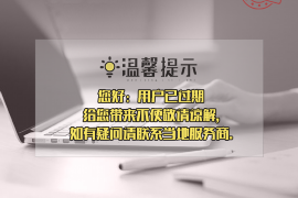 海南为什么选择专业追讨公司来处理您的债务纠纷？